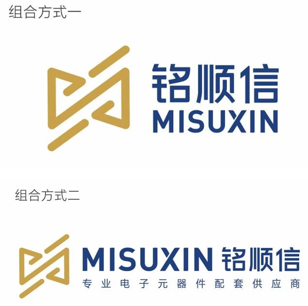 Zgodovina MISUXIN