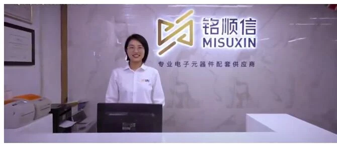 Zgodovina MISUXIN